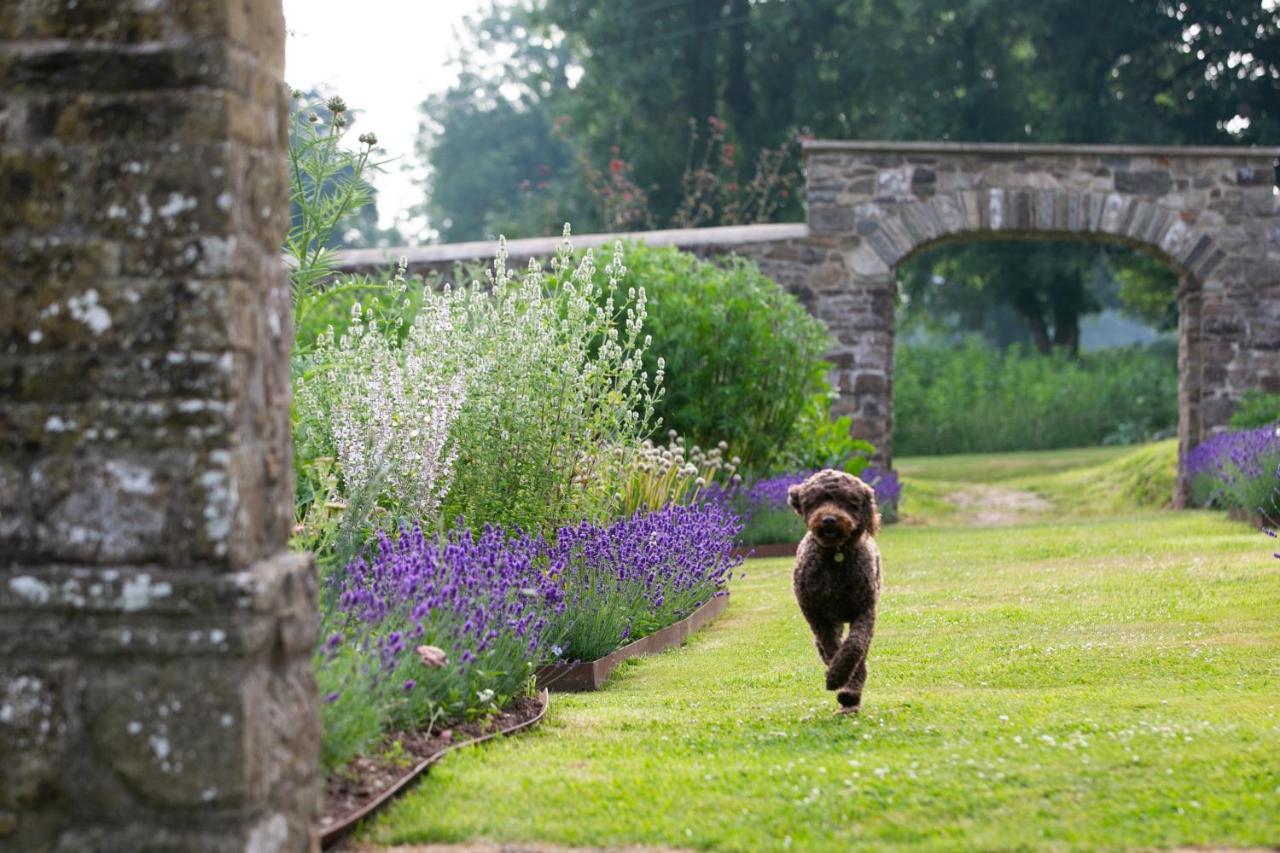 Grove Of Narberth Hotel Luaran gambar